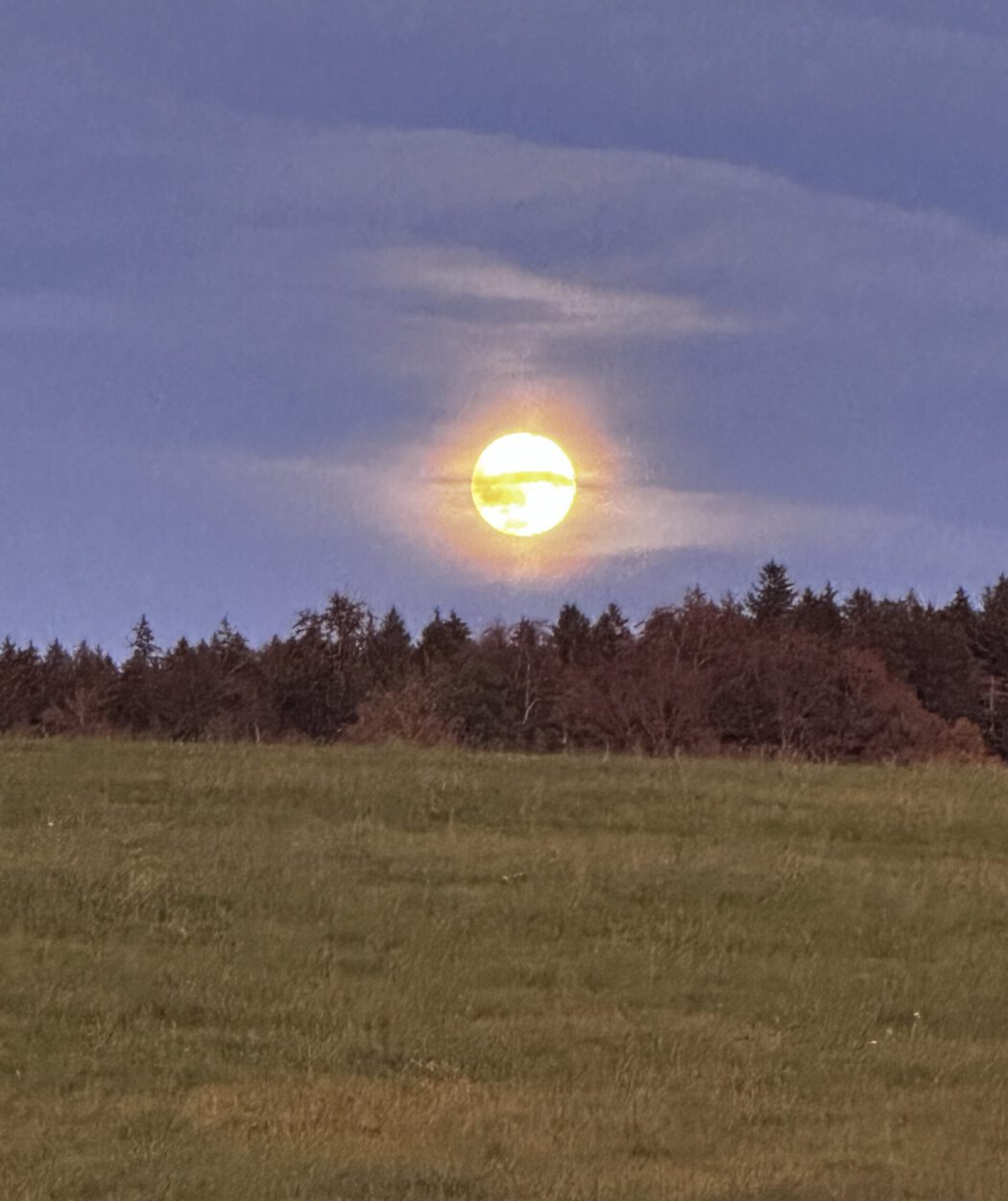 Krishnamurti Mond über Wiese