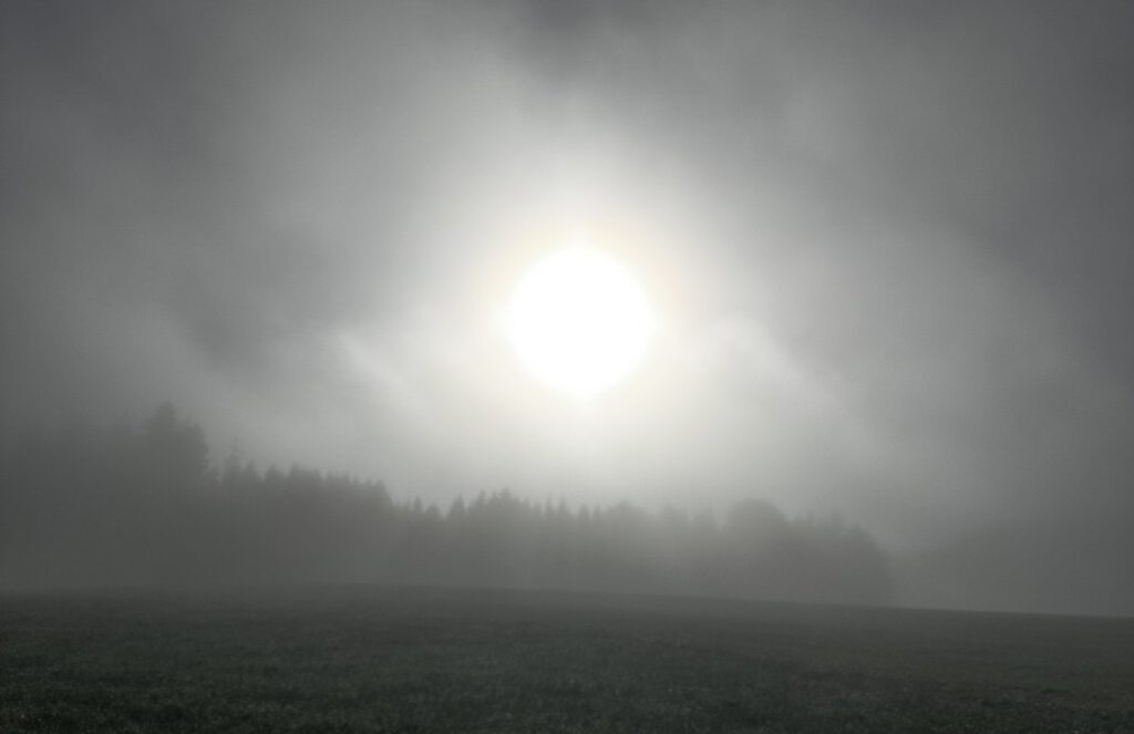 Sonne bricht durch dichten Nebel über einer Wiese mit Waldrand - Samhain, Übergang in die dunkle Jahreszeit